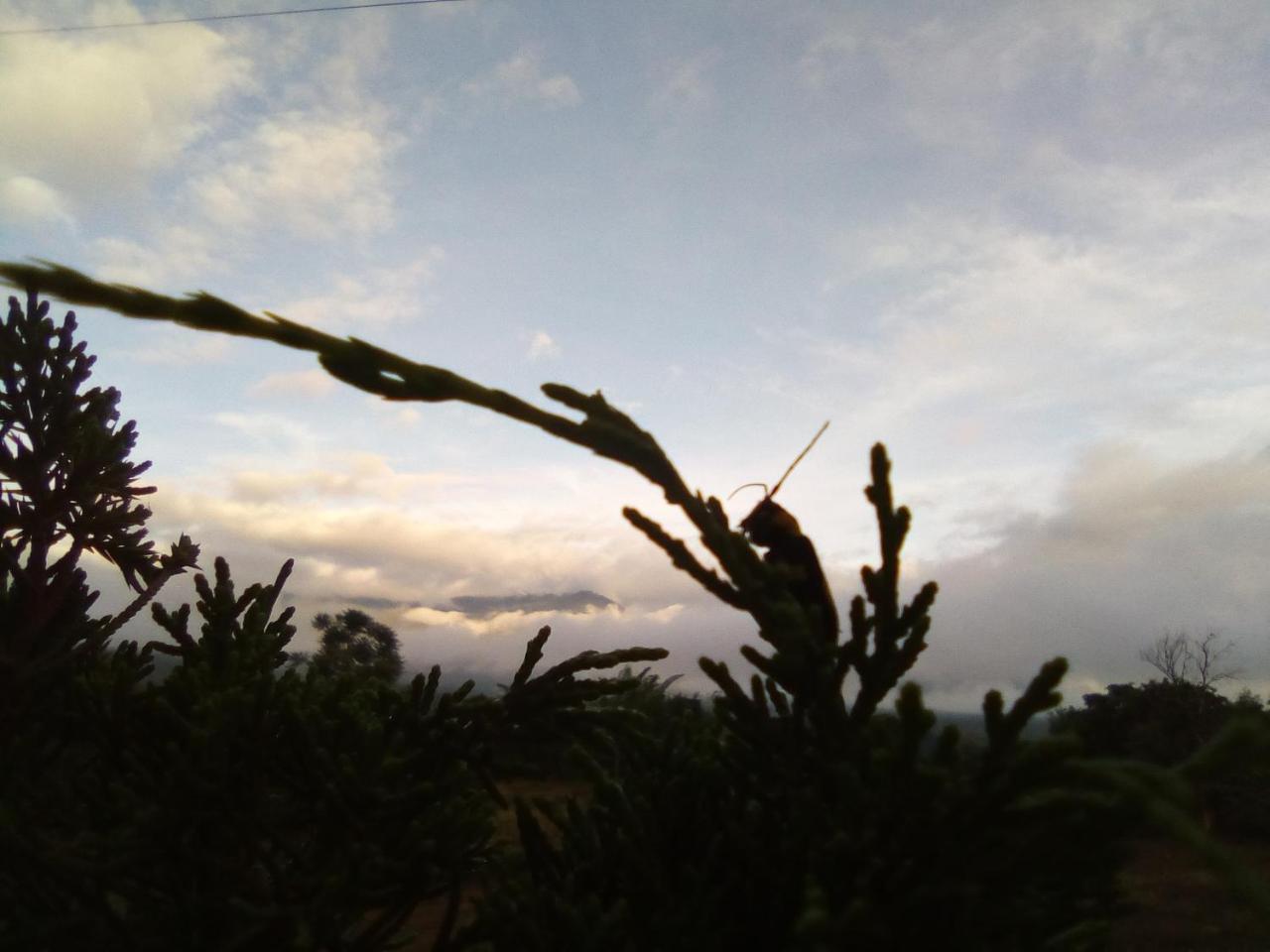 Chilling Hill Guesthouse ปาย ภายนอก รูปภาพ